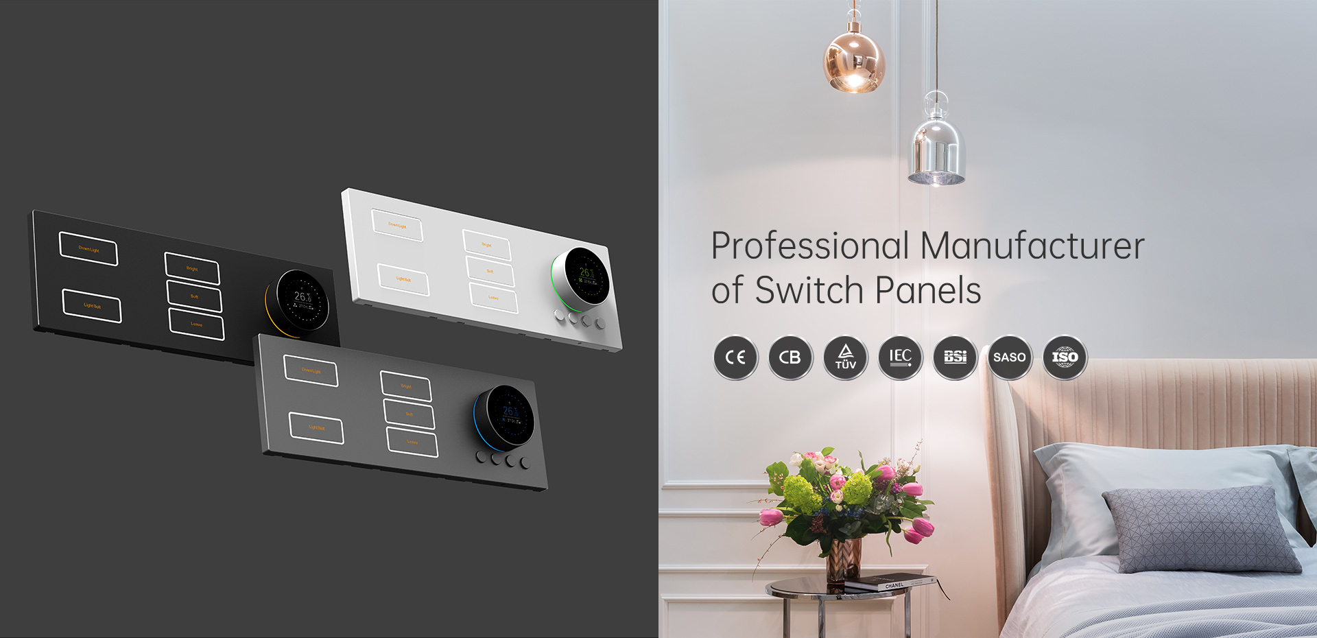 Professional Manufacturer of Switch Panels